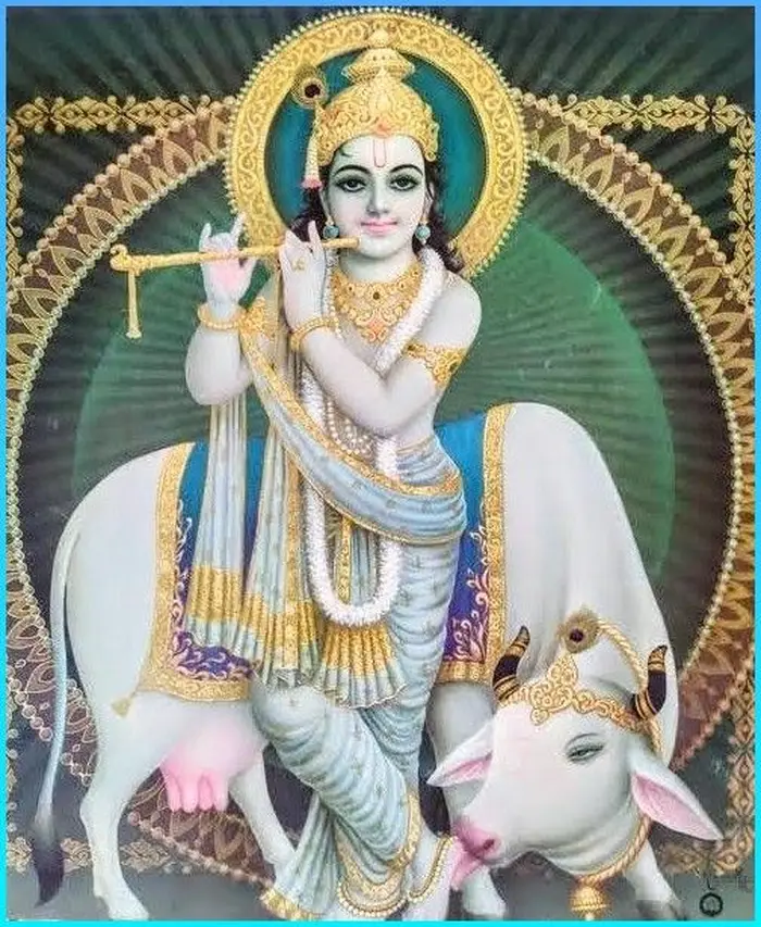 hd wallpaper divine cow god images 4k free pics