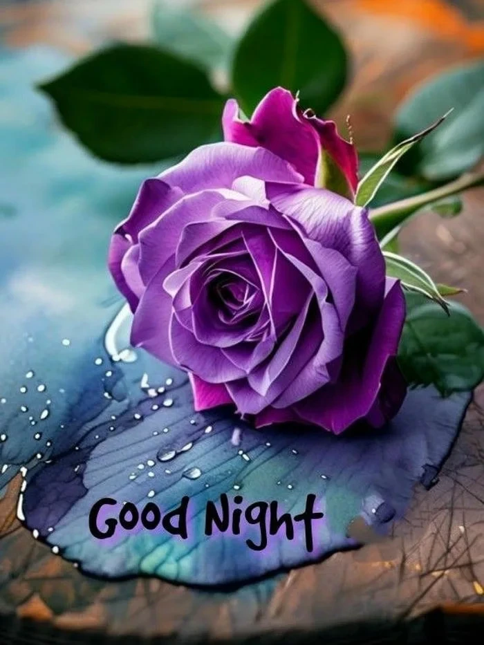 lovely good night rose image