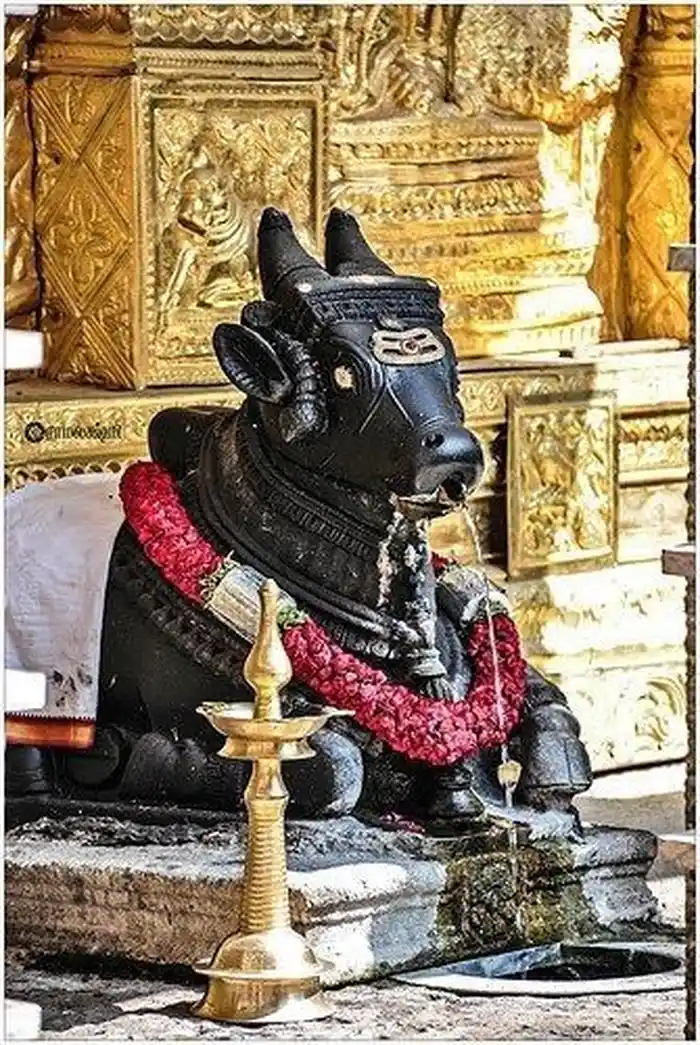mobile hd wallpaper collection nandi god images free