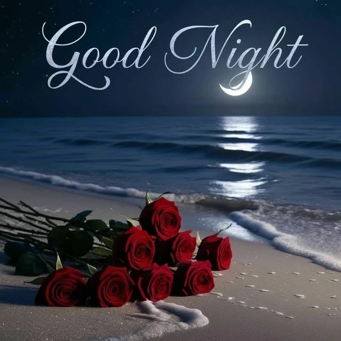 modern good night rose image
