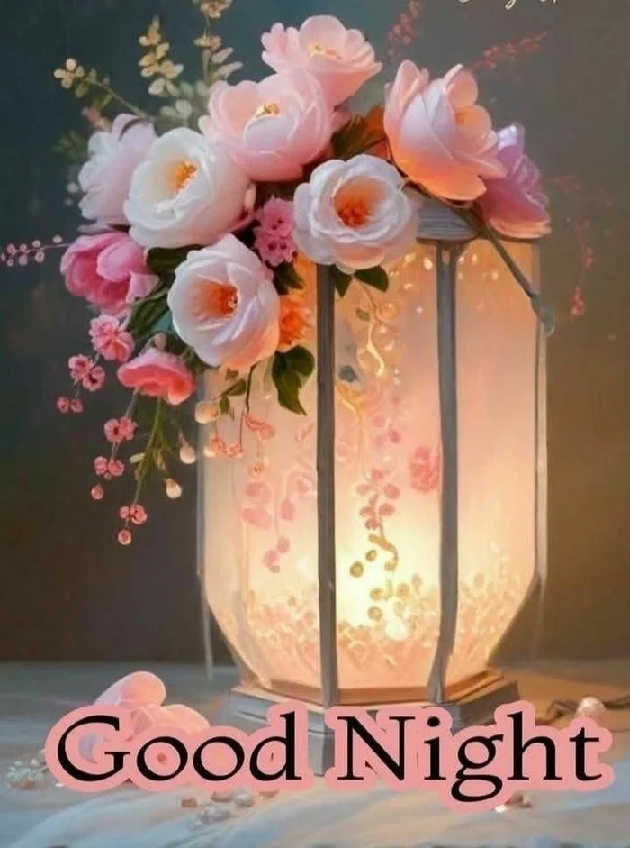 romantic good night rose image