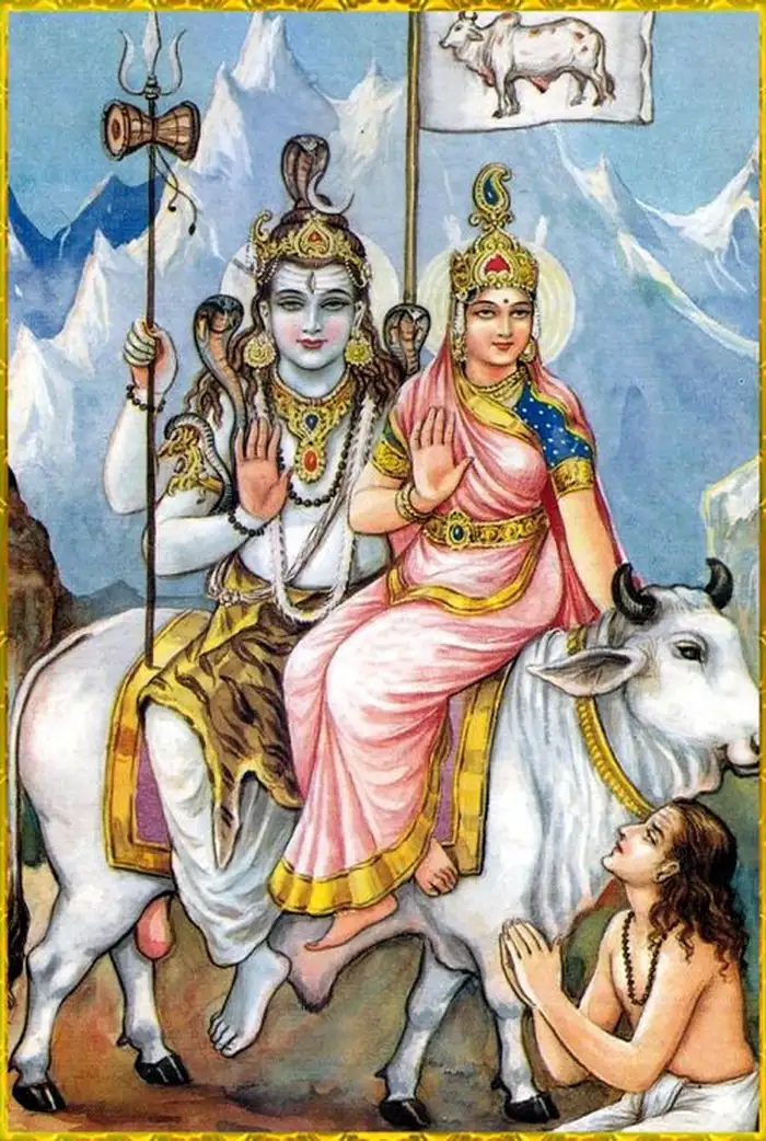 spiritual cow god hd images wallpaper collection
