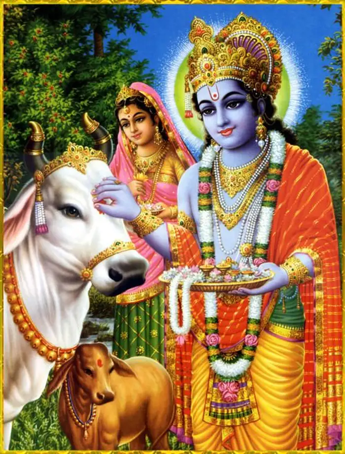 spiritual gallery cow god hd pictures wallpaper free