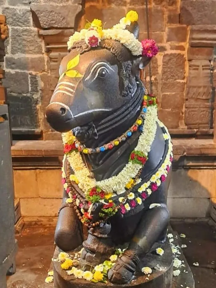 spiritual hd photo gallery featuring nandi god wallpaper