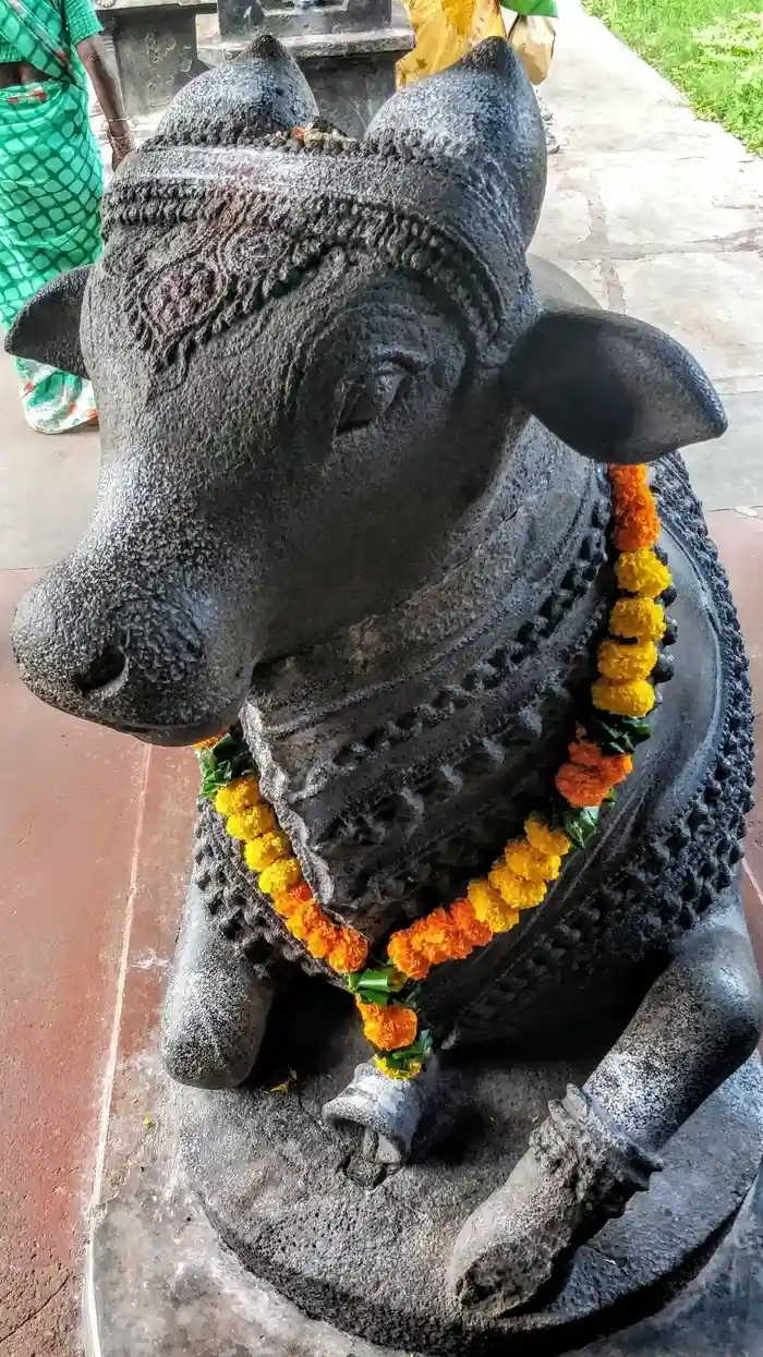 spiritual hd wallpaper nandi god pictures 3d divine