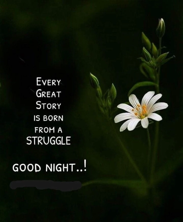 stylish good night sad image