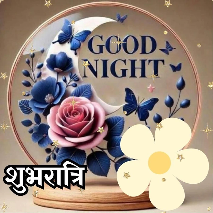 wonderful good night rose image