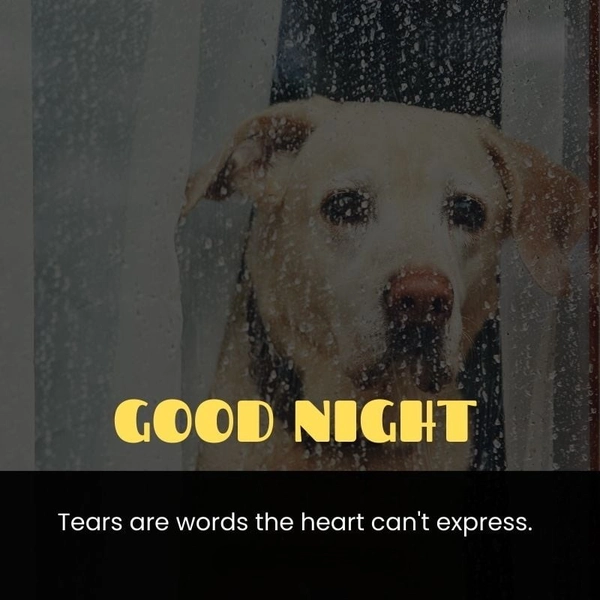 wonderful good night sad image