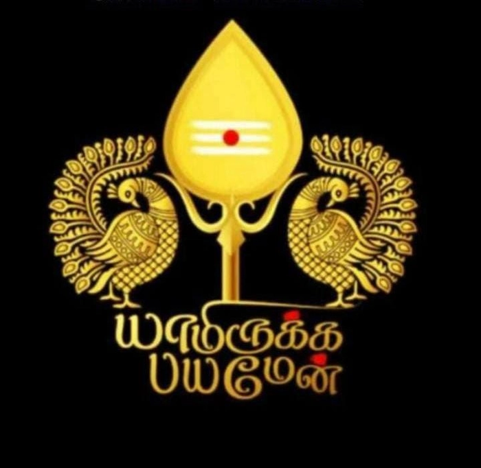 blessed lord murugan vel 3d images scene holding sacred symbols