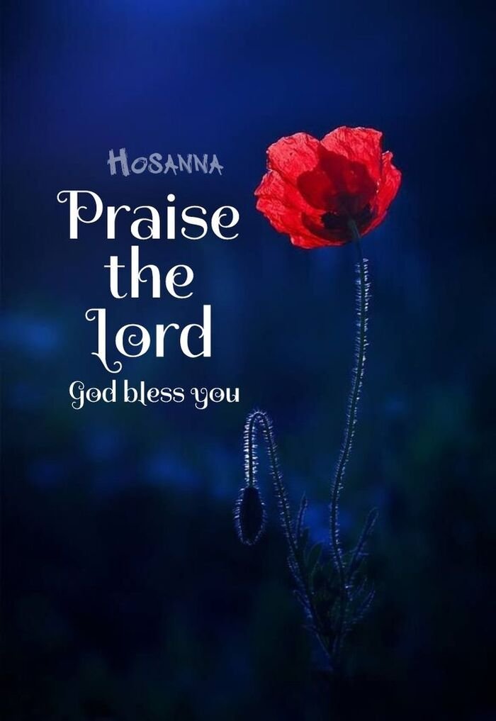 praise the lord images bright sky theme