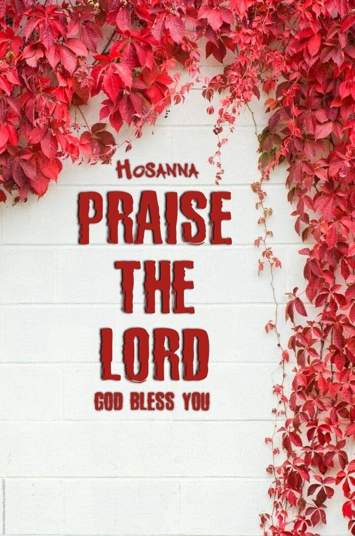 praise the lord images with bible verse