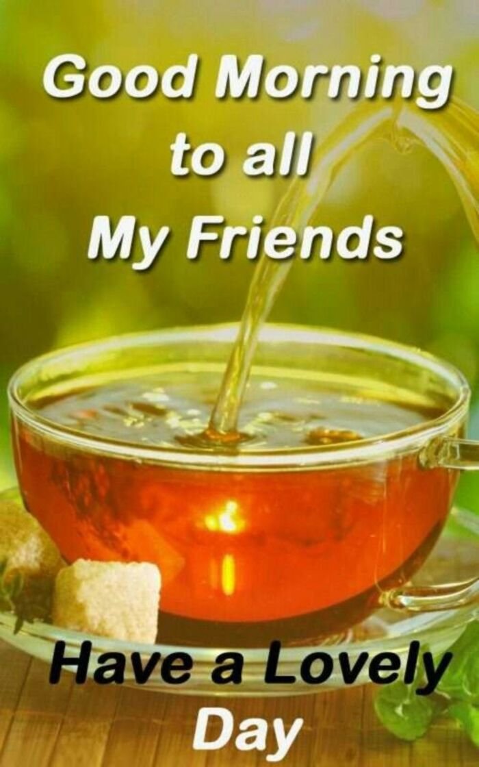 tea good morning images premium quality